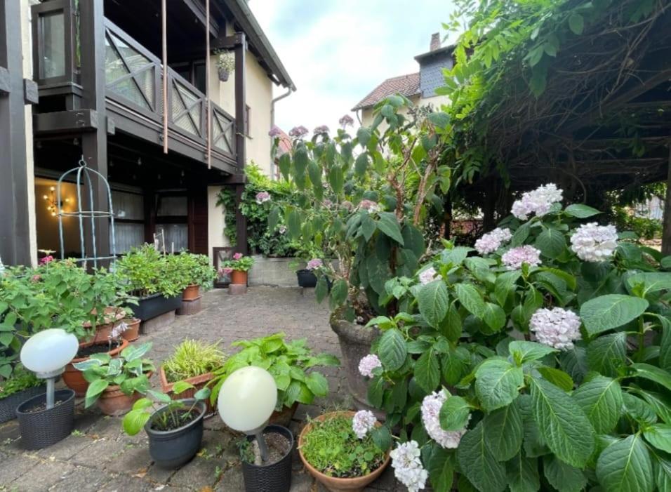 Apartment Gerberbachviertel ヴァインハイム エクステリア 写真